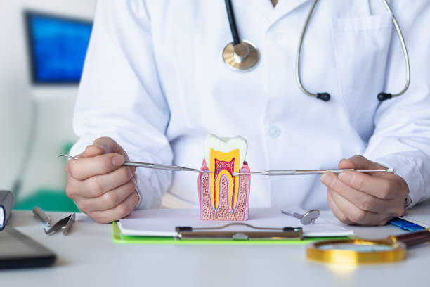Best 24-Hour Emergency Dentist in Saint Johns University, MN